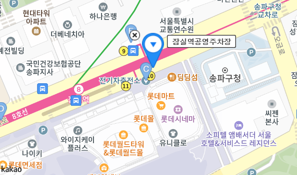 석촌호수 벚꽃축제 주차장 찾기