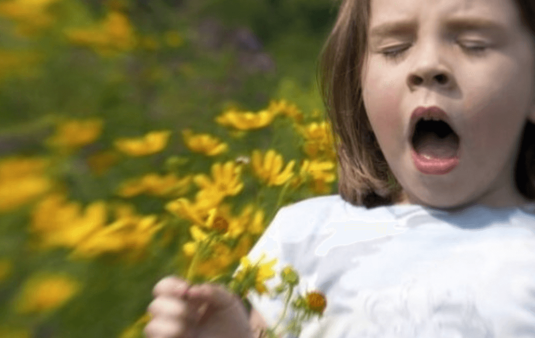 꽃가루 알레르기 증상 완화
