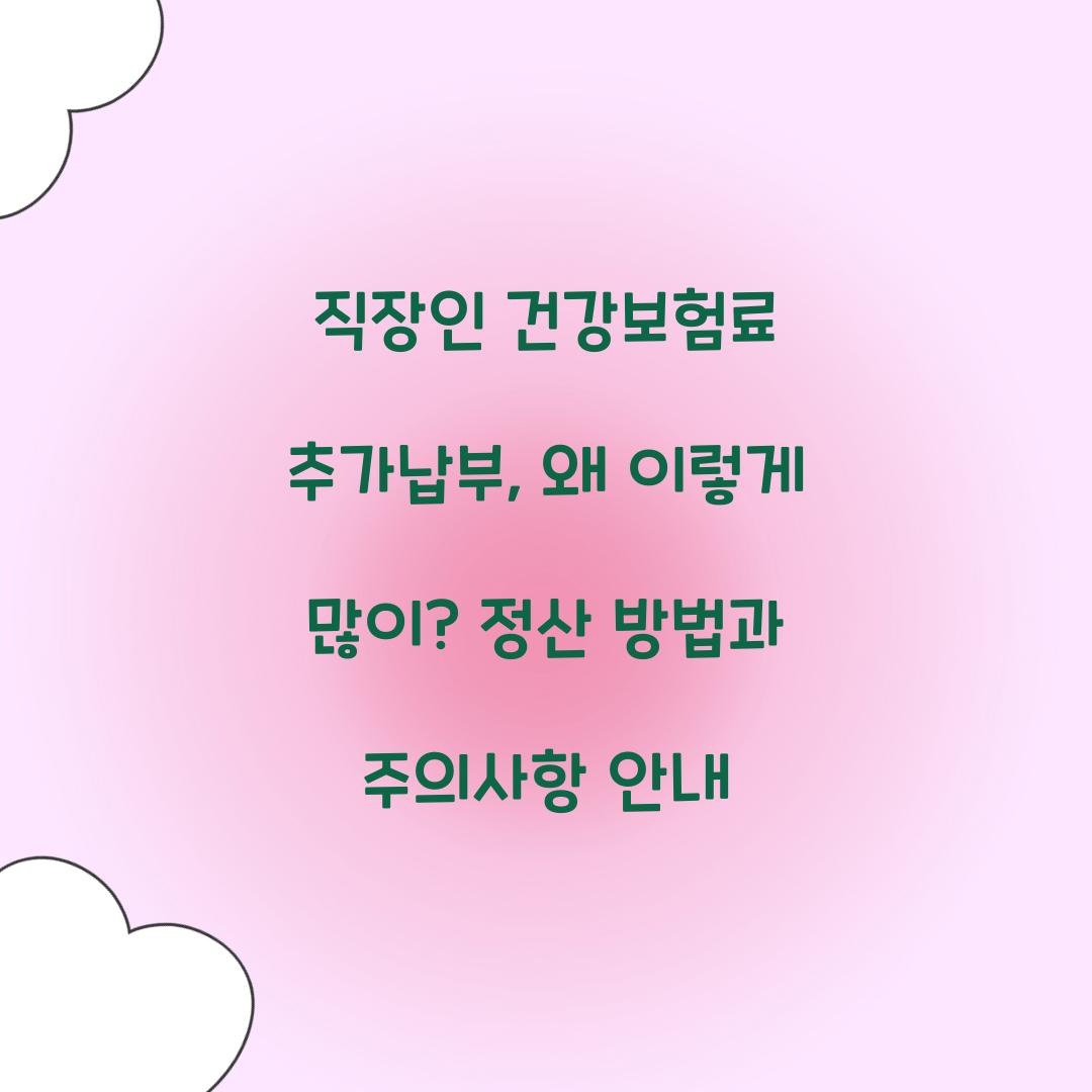 직장인 건강보험료 추가납부