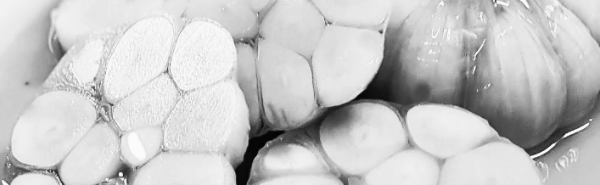 간장마늘장아찌 담그는 법