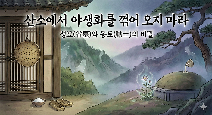 성묘와 동티