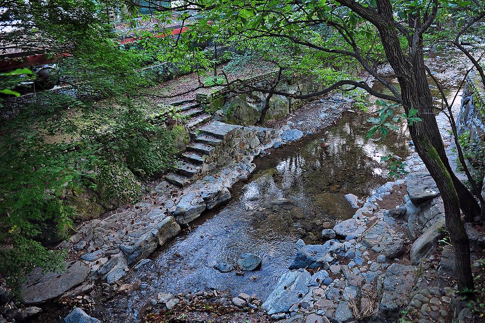 수목원프로방스캠핑장. 경기 포천시 신북면 탑신로 1066