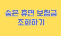 보험금 찾기