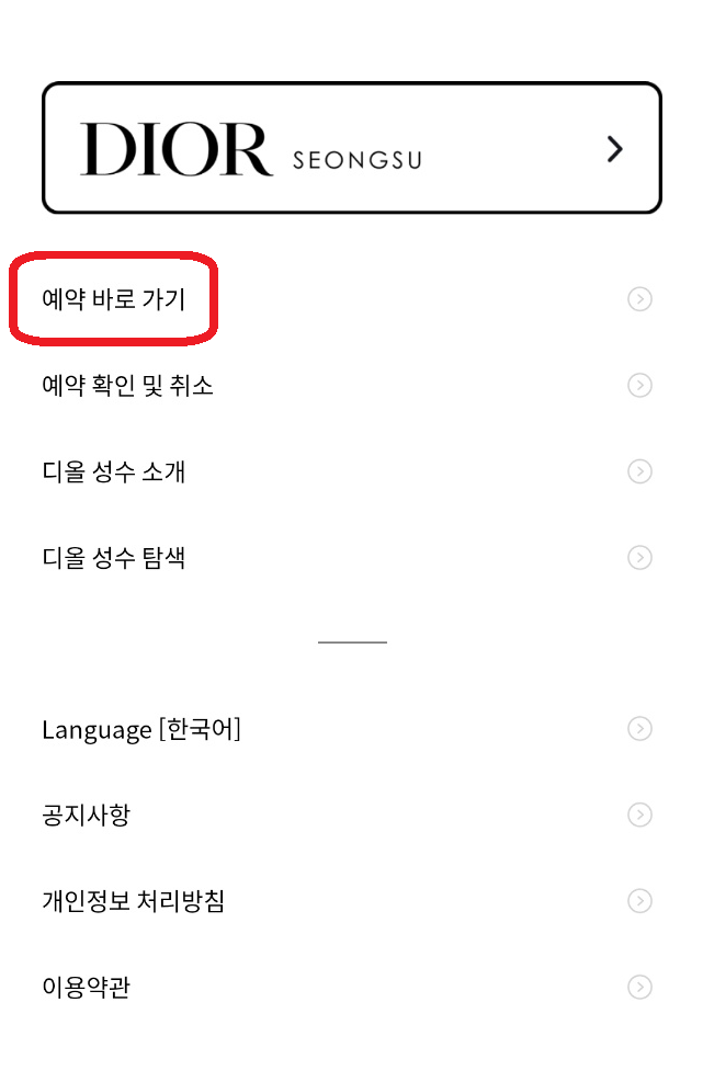 디올 성수 예약