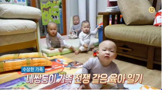 인간극장 네쌍둥이 인스타 직업 부부 근황 총정리!