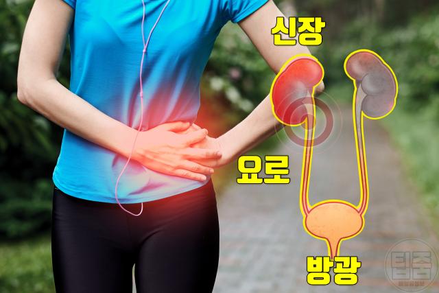 요로감염 증상 허리 옆구리 통증