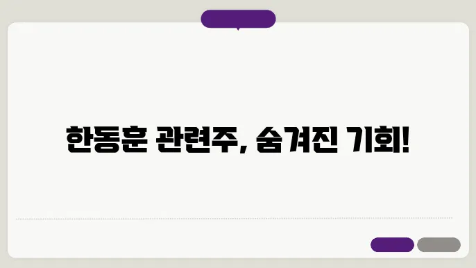한동훈 관련주 정리