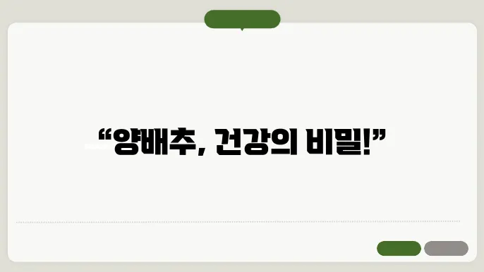 양배추 효능 10가지, 부작용