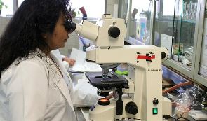 일요일 약국 여는곳 찾기 문여는 곳