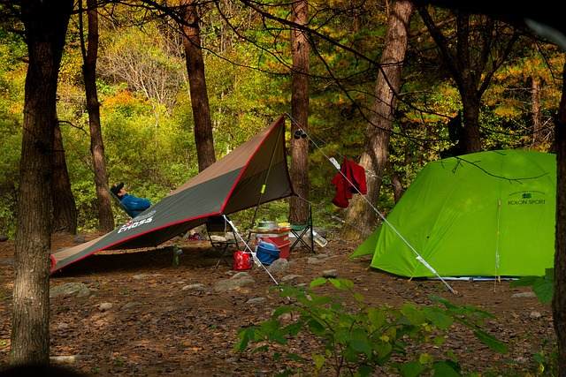 캠핑과 차별화된 Bushcraft 경험 만들기