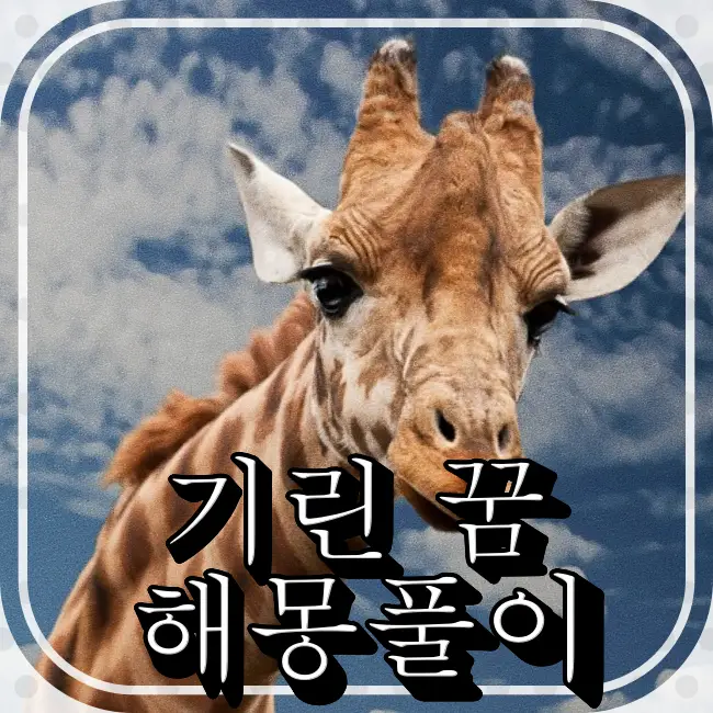 기린이-앞을-주시하는장면