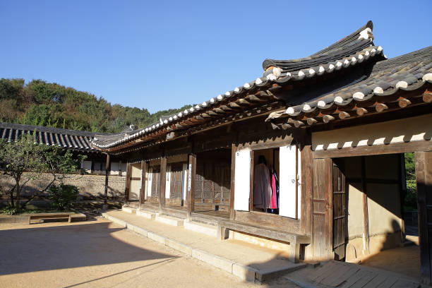 자연과 조화를 이룬 한국 전통의 뿌리