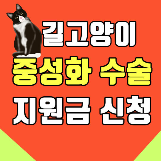 길고양이 TNRday 중성화수술 신청하기