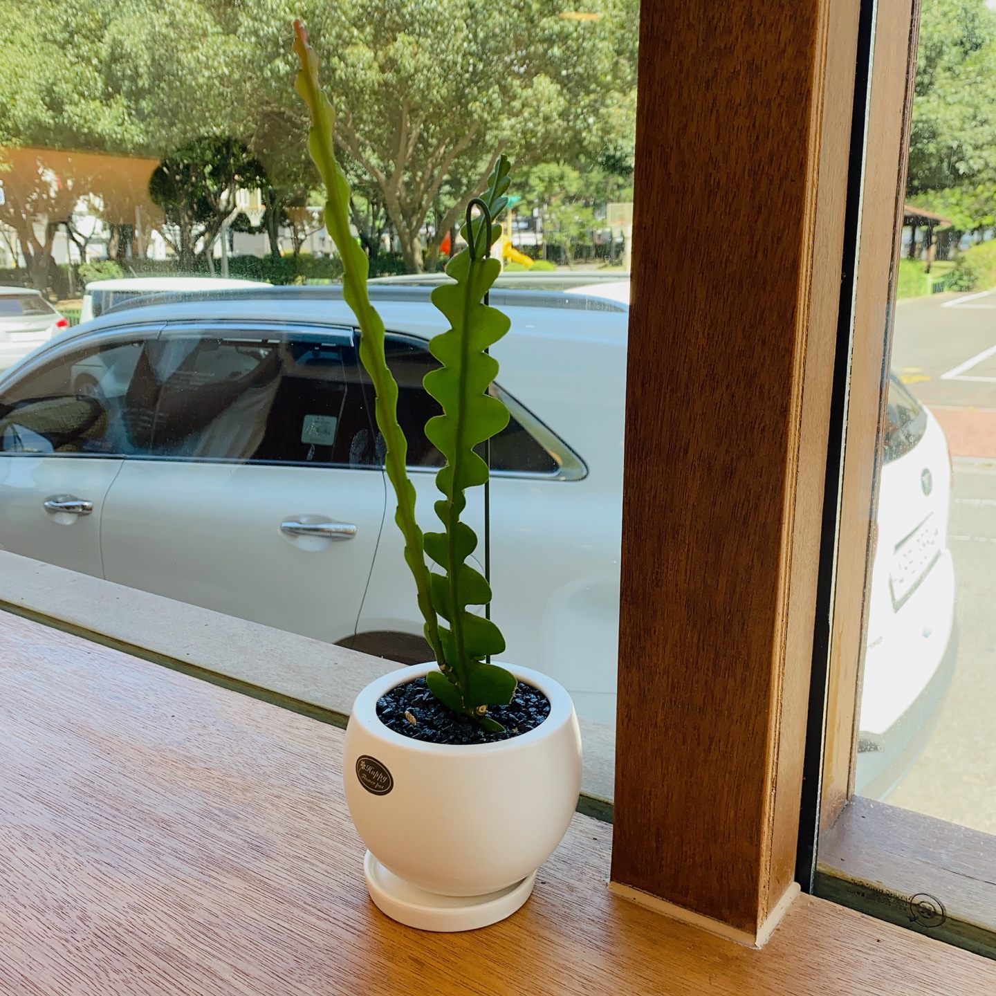 언이너프 커피바(Unenough Coffee Bar) 제주 노형 광평마을 탐라도서관 한라대학교 주차 리뷰 카페 추천