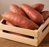 고구마 보관하는법