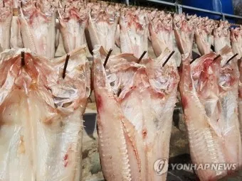 통영 추도 배시간표 배편 예매 요금 예약_26