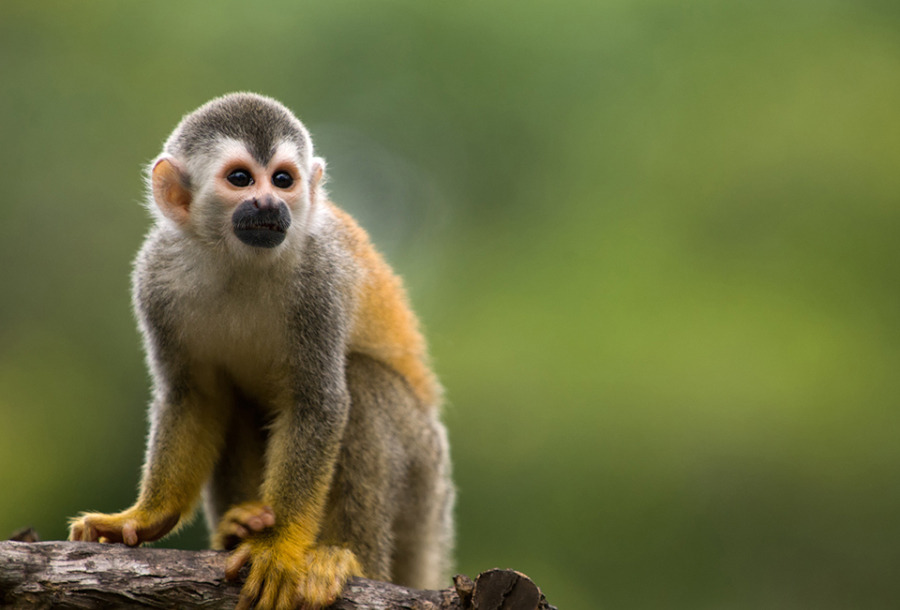 네이처파크 플라워페스티벌 2025