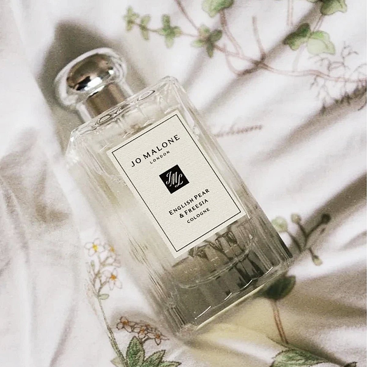 잉글리쉬 페어 앤 프리지아