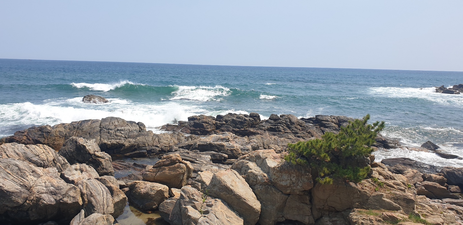 분당 율동공원 산책로 숨은 포토존