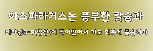  아스파라거스는 풍부한 칼슘과 비타민B-9(엽산)이 들어있어서 피로 회복에 좋습니다