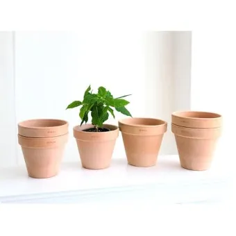 토분 관리 세척요령 흰가루제거 배수력장점 물주기 타이밍 맞추기_7