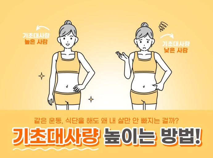 기초대사량 높이기, 살빼기, 다이어트, 운동, 식단