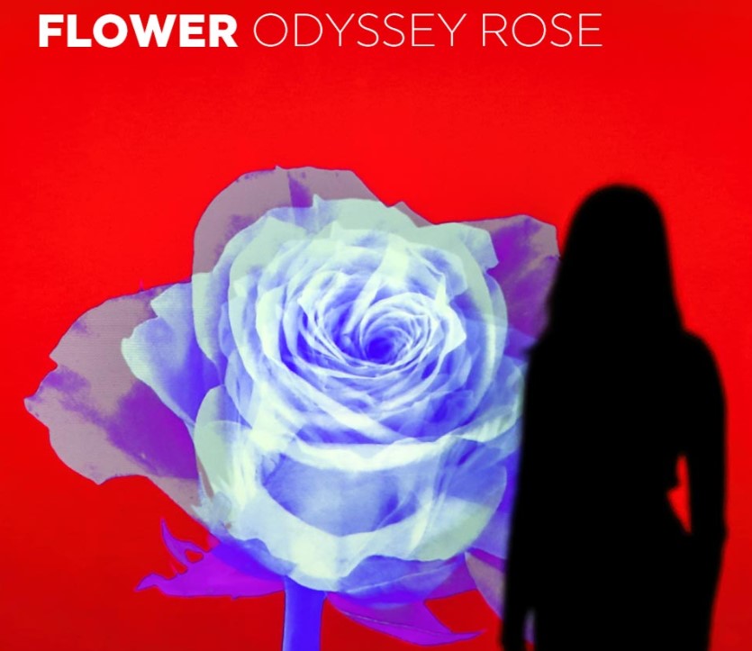 부산 아르떼뮤지엄 