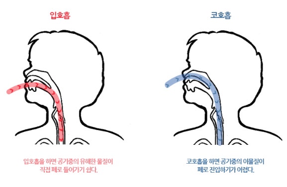 호흡기 건강 강화를 위한 생활 습관
