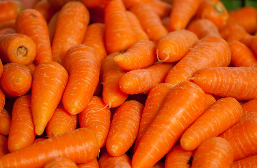 당근 관련 사진