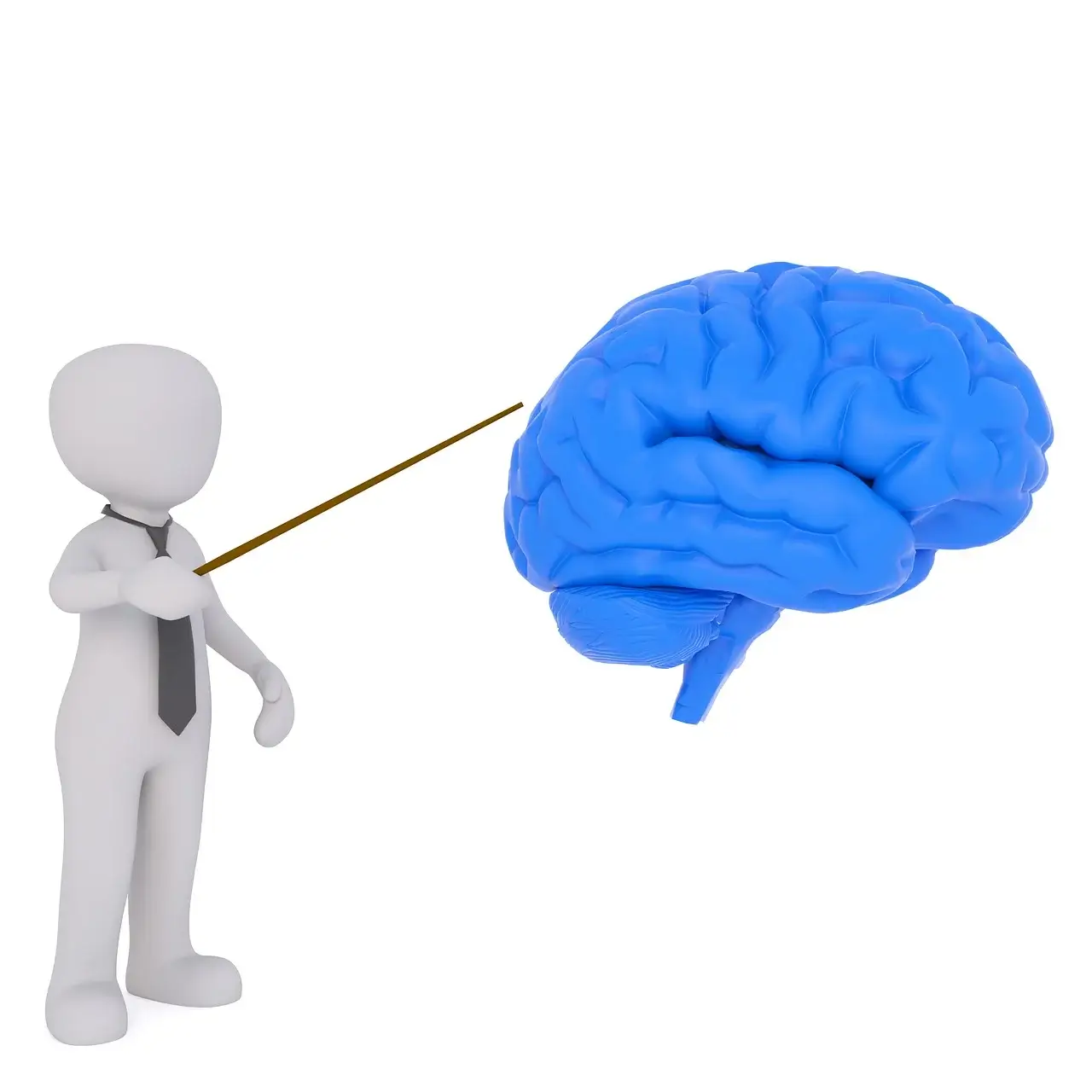 AI 기반 두뇌 훈련 앱의 인지 나이 테스트