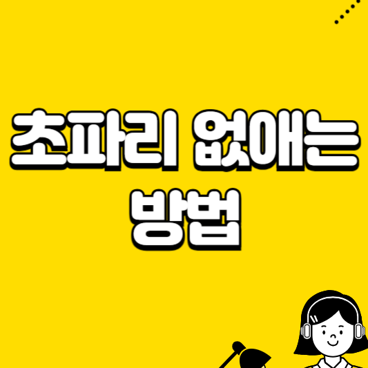 초파리 없애는 방법