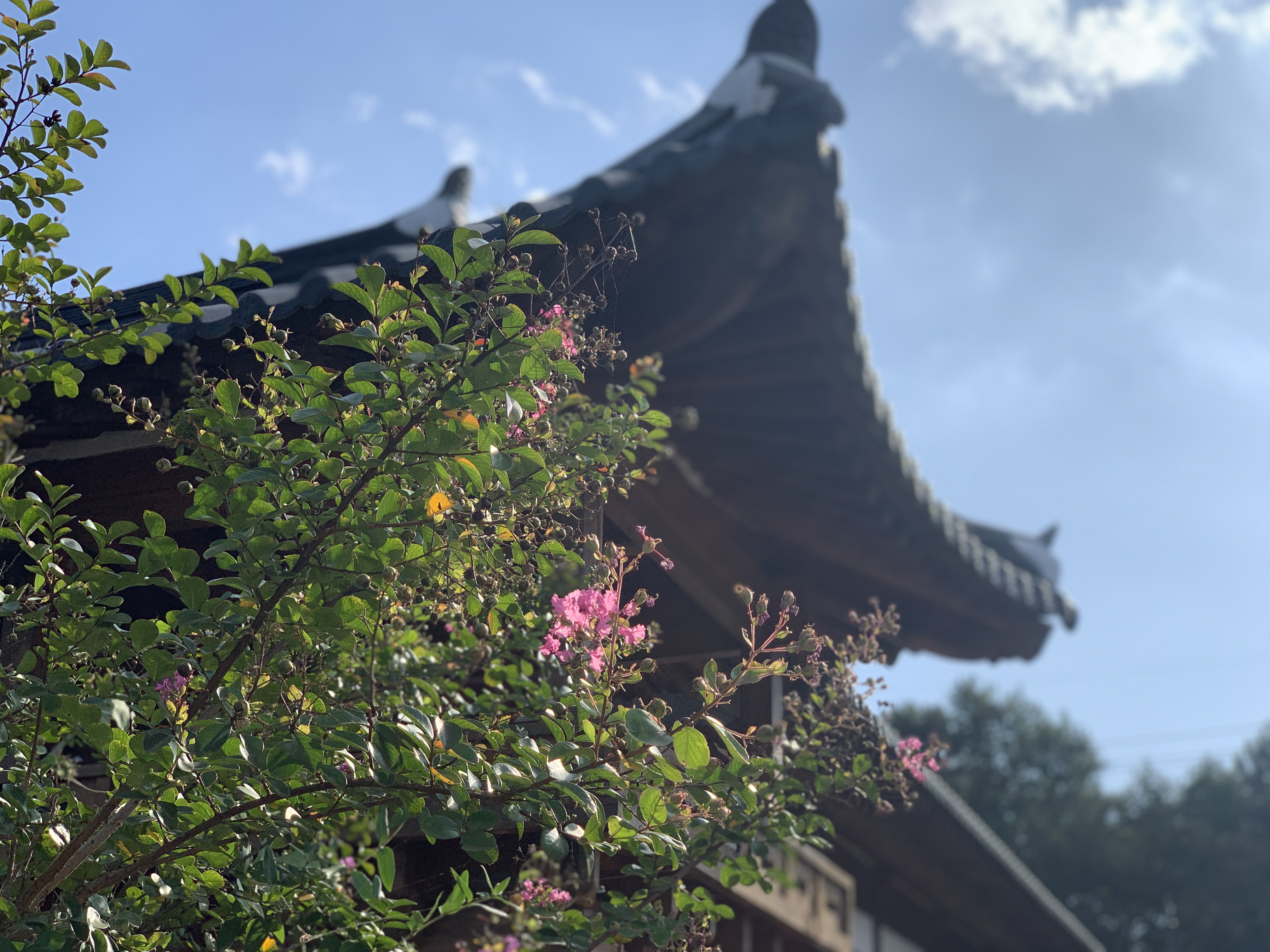 공주 한옥마을