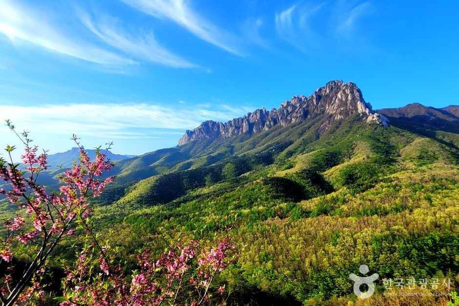 속초 가볼만한곳 베스트 10