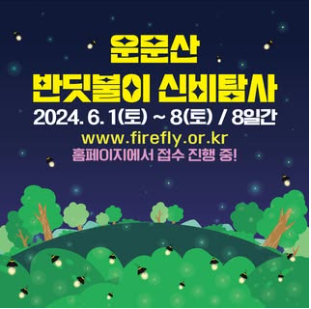 무주반딧불축제
