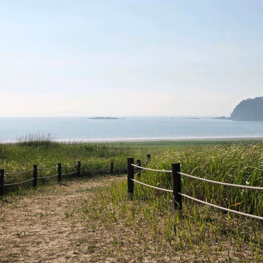 신두리해수욕장