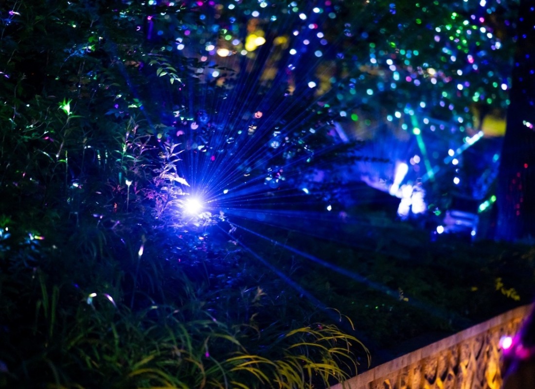 청와대 야간개장 예약방법