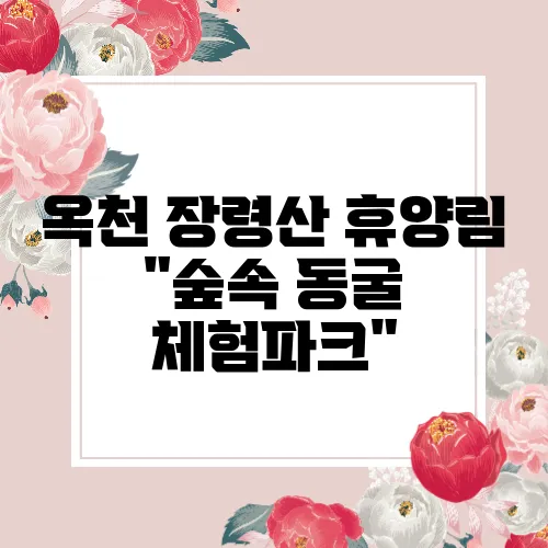 옥천 장령산 휴양림 &quot;숲속 동굴 체험파크&quot;