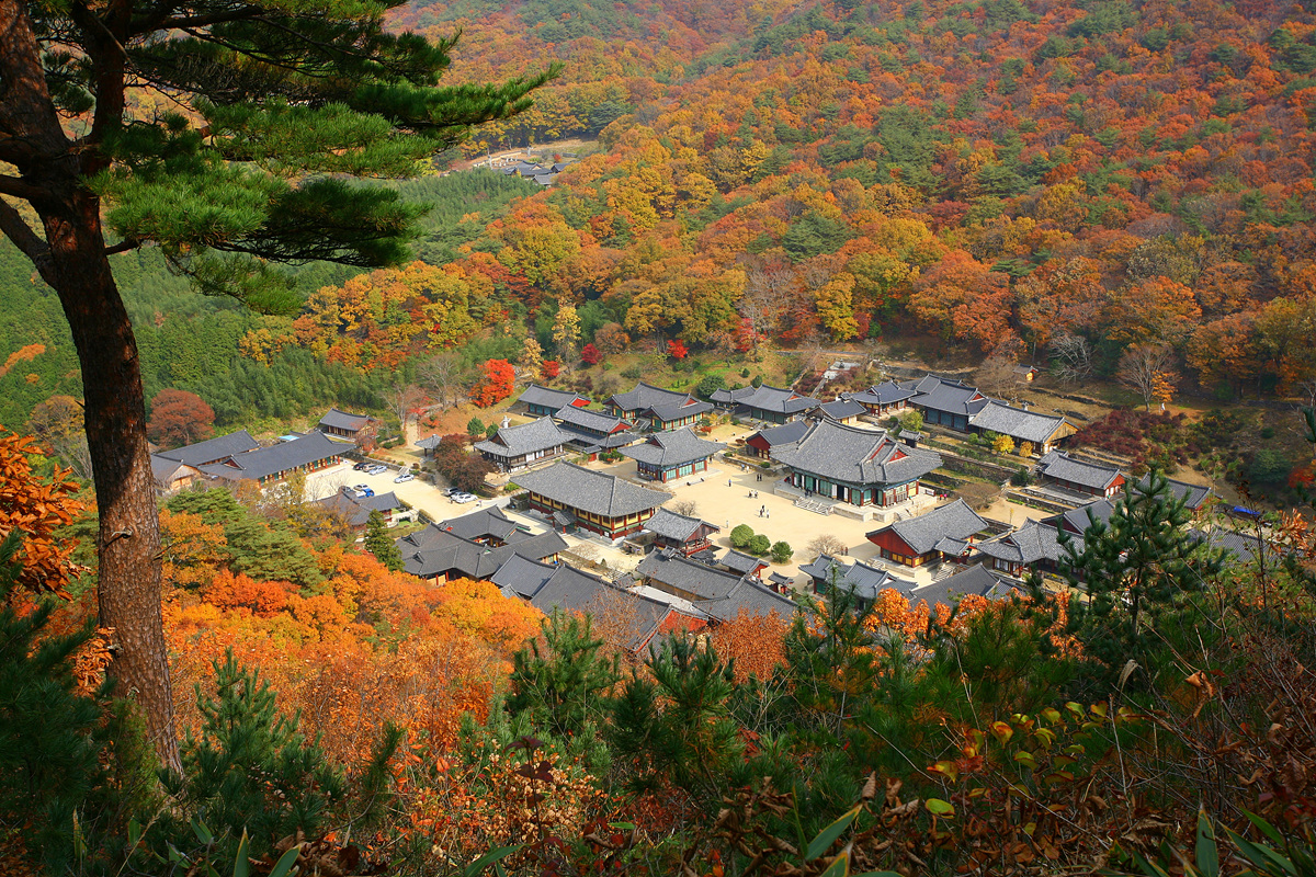 선암사