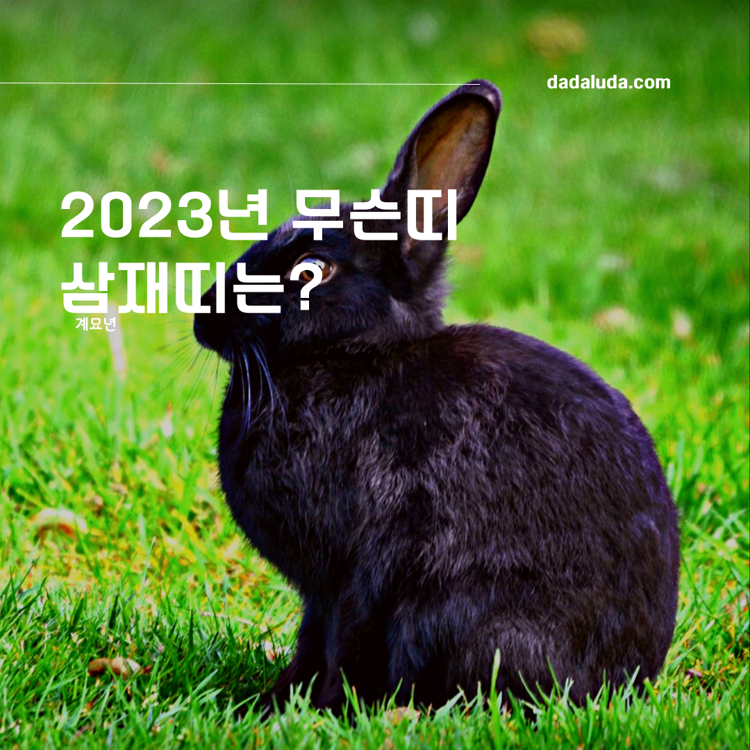 2023년 무슨띠 인가요? 계묘년 삼재띠