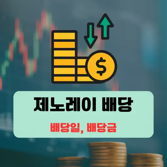 제노레이 회사 개요