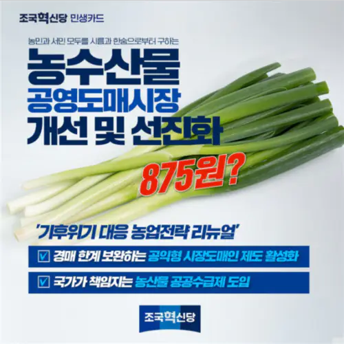 카드뉴스