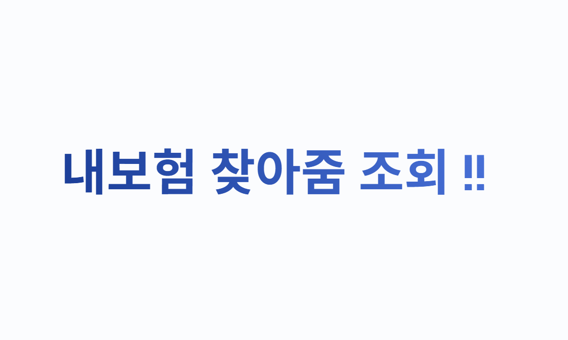 내보험 찾아줌 조회