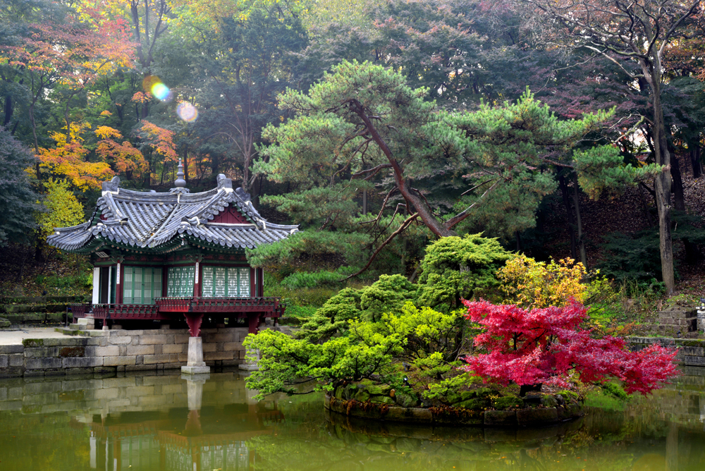 창덕궁 후원