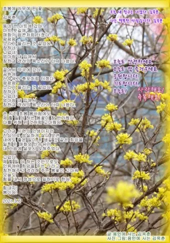 봄비 인사말 이미지 비오는날 일러스트_8