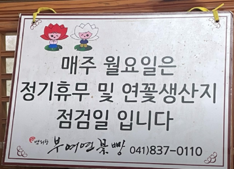 박원순의-같이삽시다-부여-연꽃차-