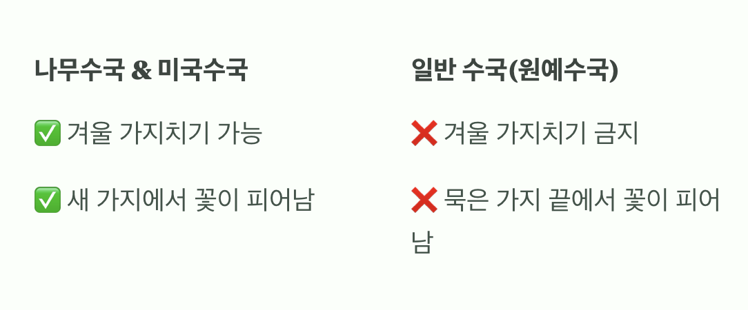 '이 수국'은 절대 겨울에 자르면 안 돼요!