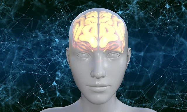 반복 행동이 신경회로를 바꾸는 원리