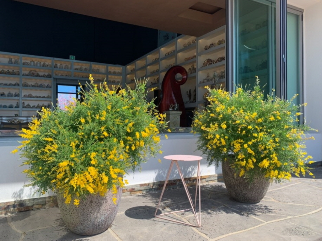 제주도 관광지도