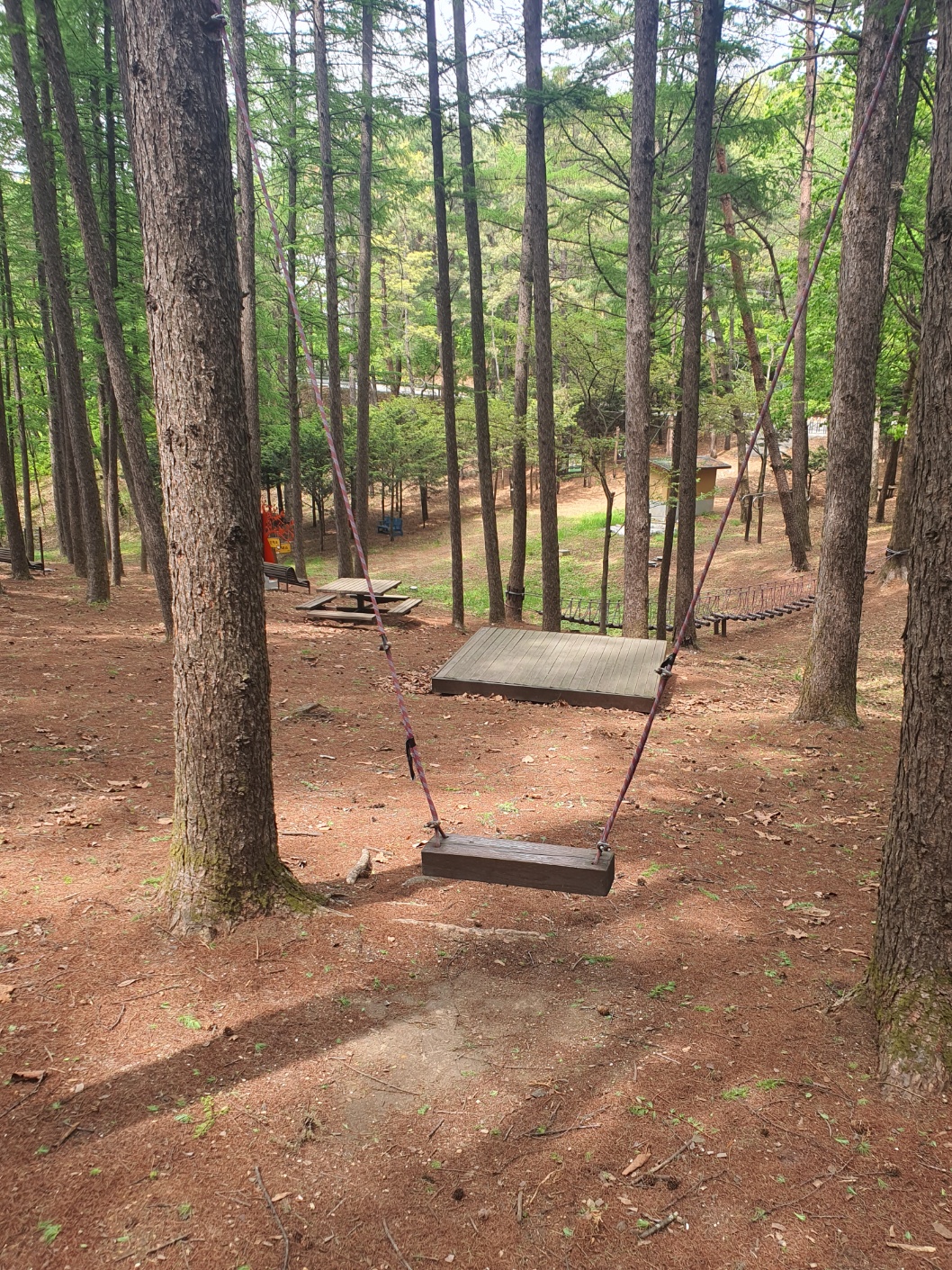 봉래산산림욕장