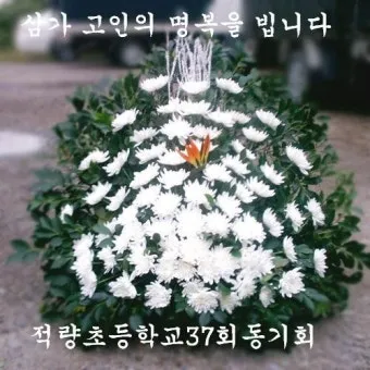 삼가 조의를 표합니다 삼가 고인의 명복을 빕니다 뜻 자료집_20